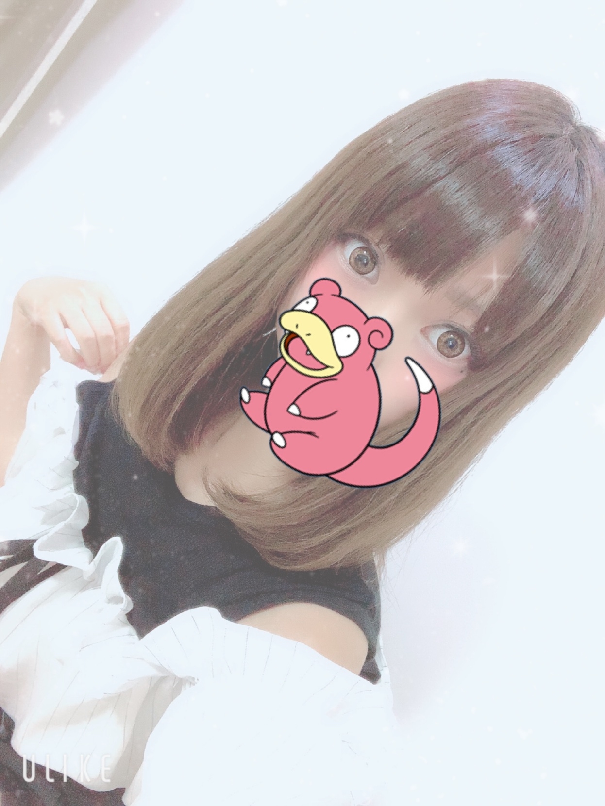 新人さんいらっしゃーい!(」゚ロ゚)」♪